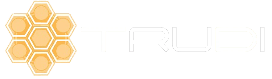 Trudi I.T. Solutions